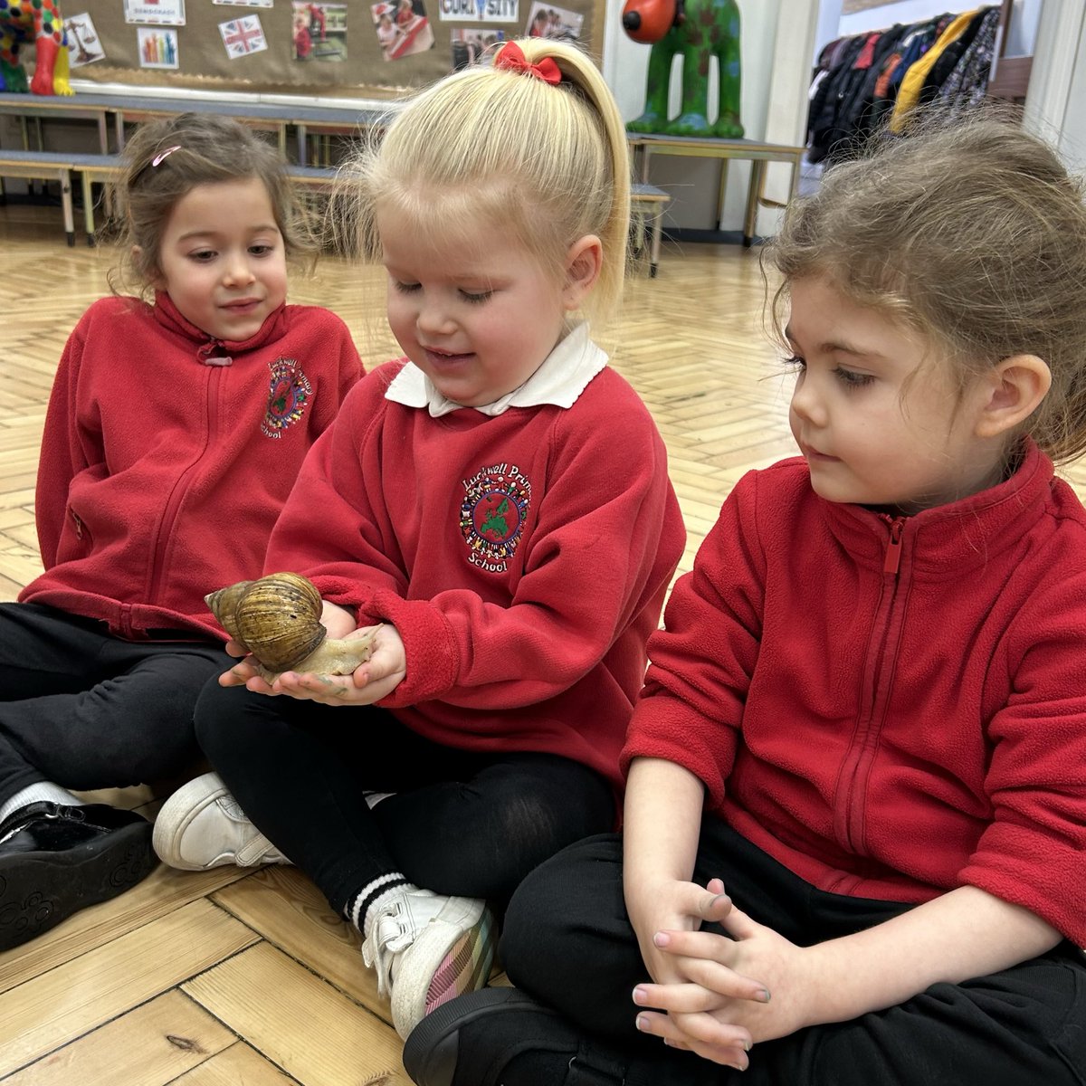 Luckwell Primary tweet media