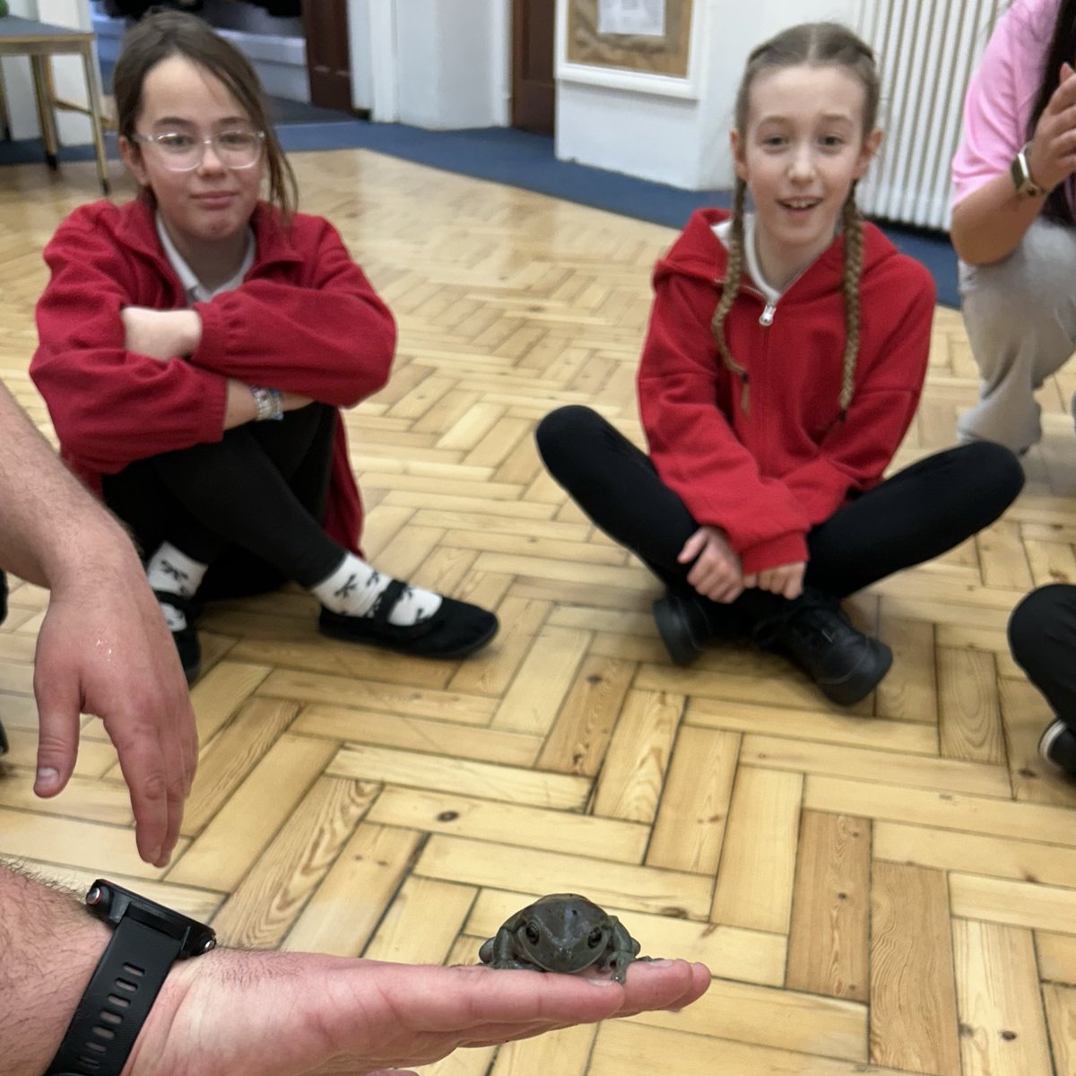 Luckwell Primary tweet media