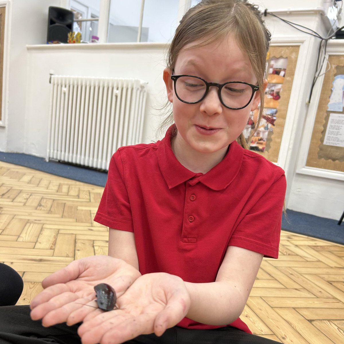 Luckwell Primary tweet media