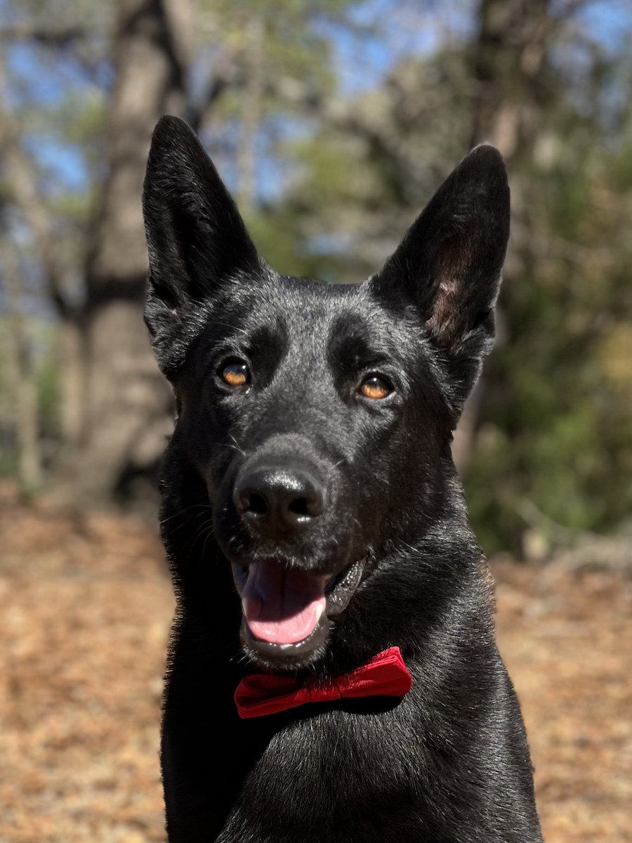 They say the eyes are the windows to the soul.