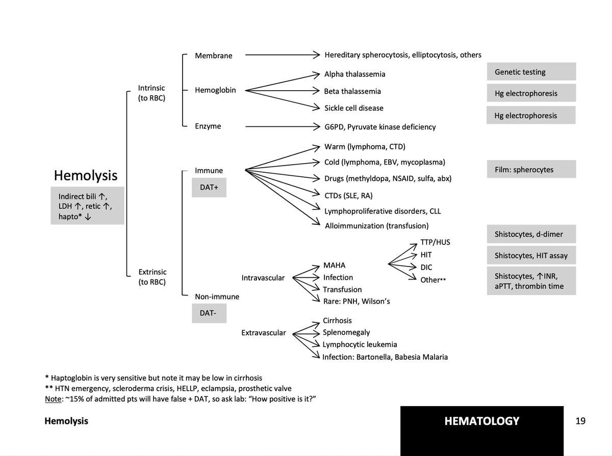 🩸 Hemolysis made simple.

Intrinsic vs extrinsic, DAT+ vs DAT−, immune vs non-immune — all on one high-yield page you’ll actually remember.

📌 Save this for wards &amp; exams: fralicklab.com/book

#MedPods #HemeTwitter