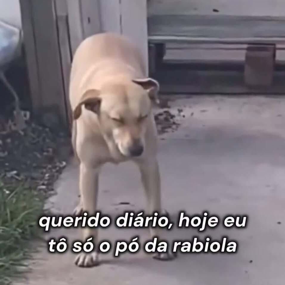 paginalixo1's tweet image. 