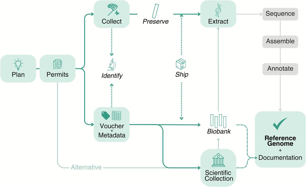 Javier del Campo tweet media