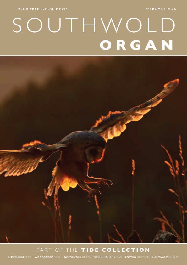 Tide Collection tweet media