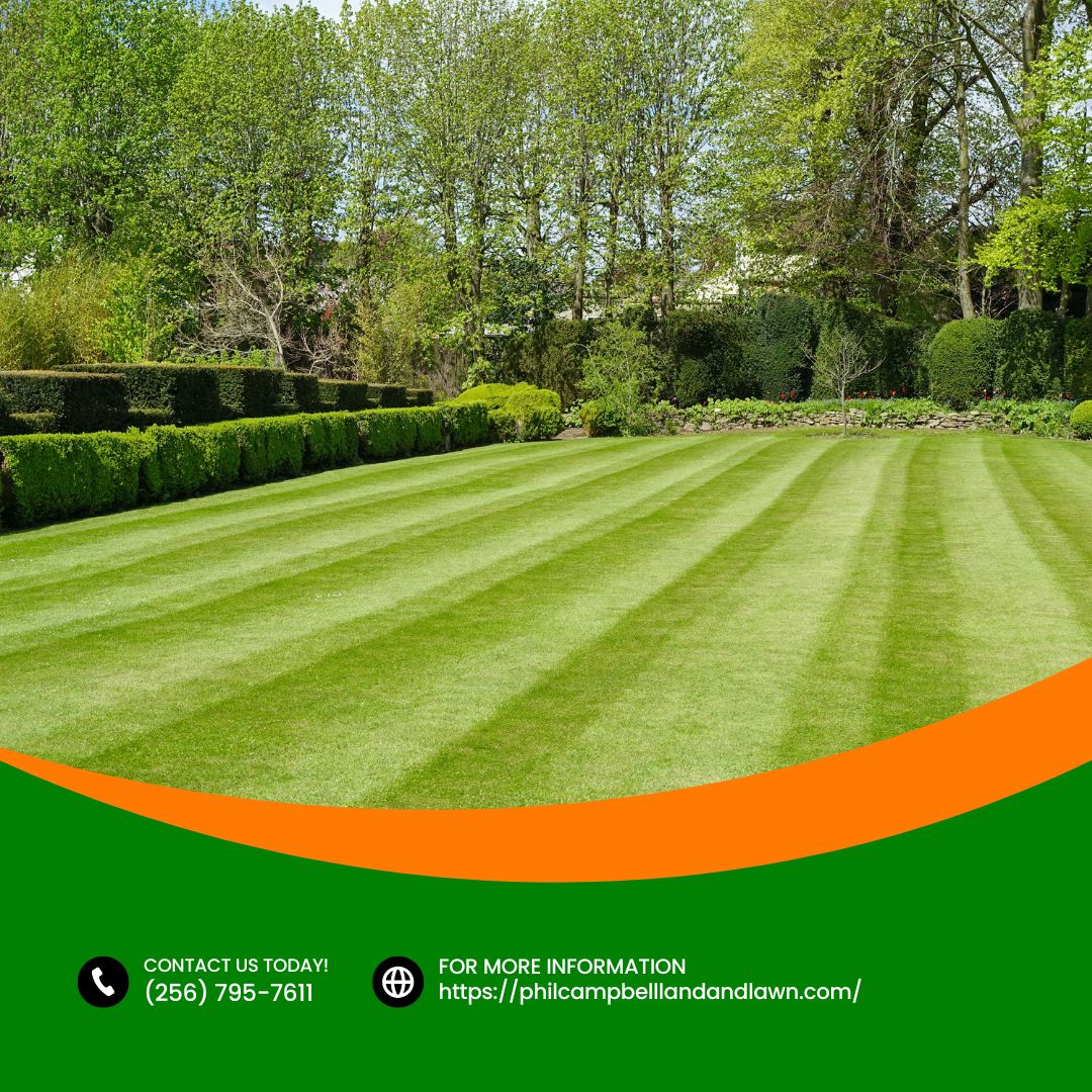 A well-planned outdoor space can change how a property feels every day. With our landscaping, we focus on shaping yards that are practical and visually balanced. Reach out today and let’s talk about your project goals.
#Landscaping
philcampbelllandandlawn.com