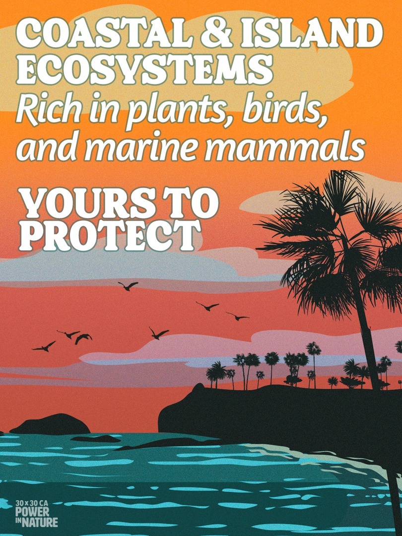 Power in Nature tweet media