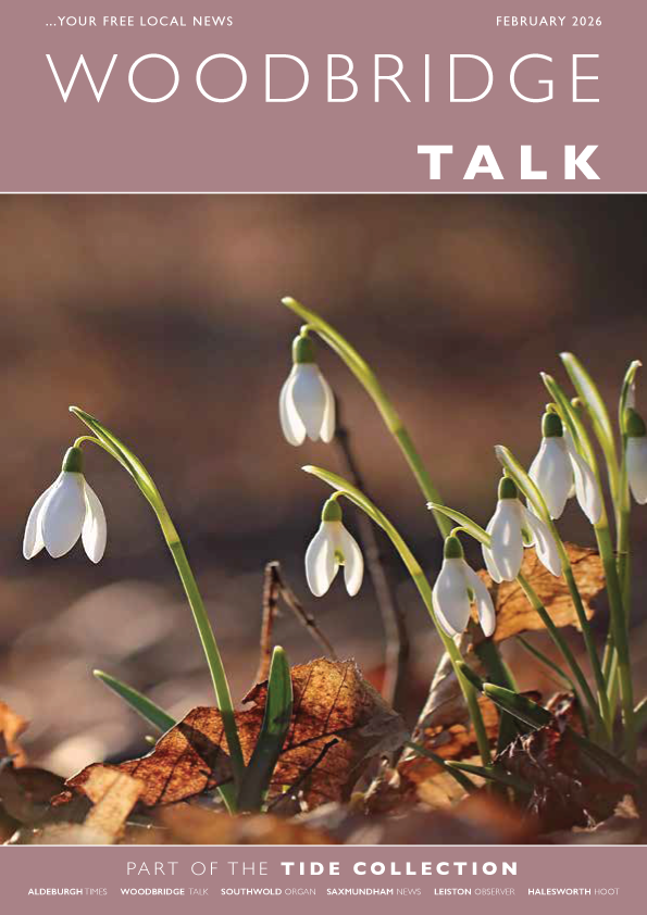 Tide Collection tweet media