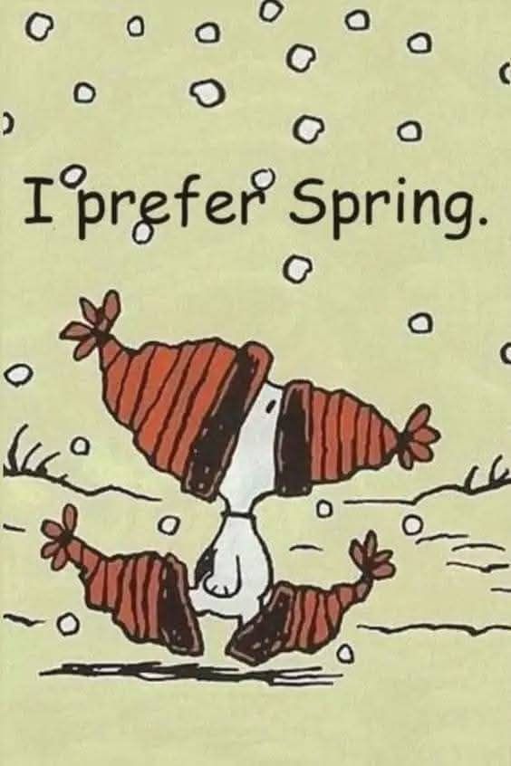 Irena Buzarewicz (@irenabuzarewicz) on Twitter photo 