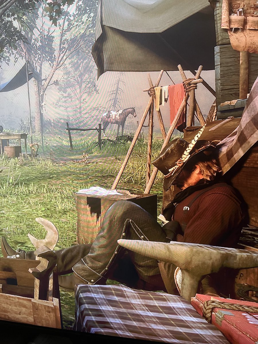 drwseroger's tweet image. abri meu jogo e meu arthur morgan está dormindo ! 💔