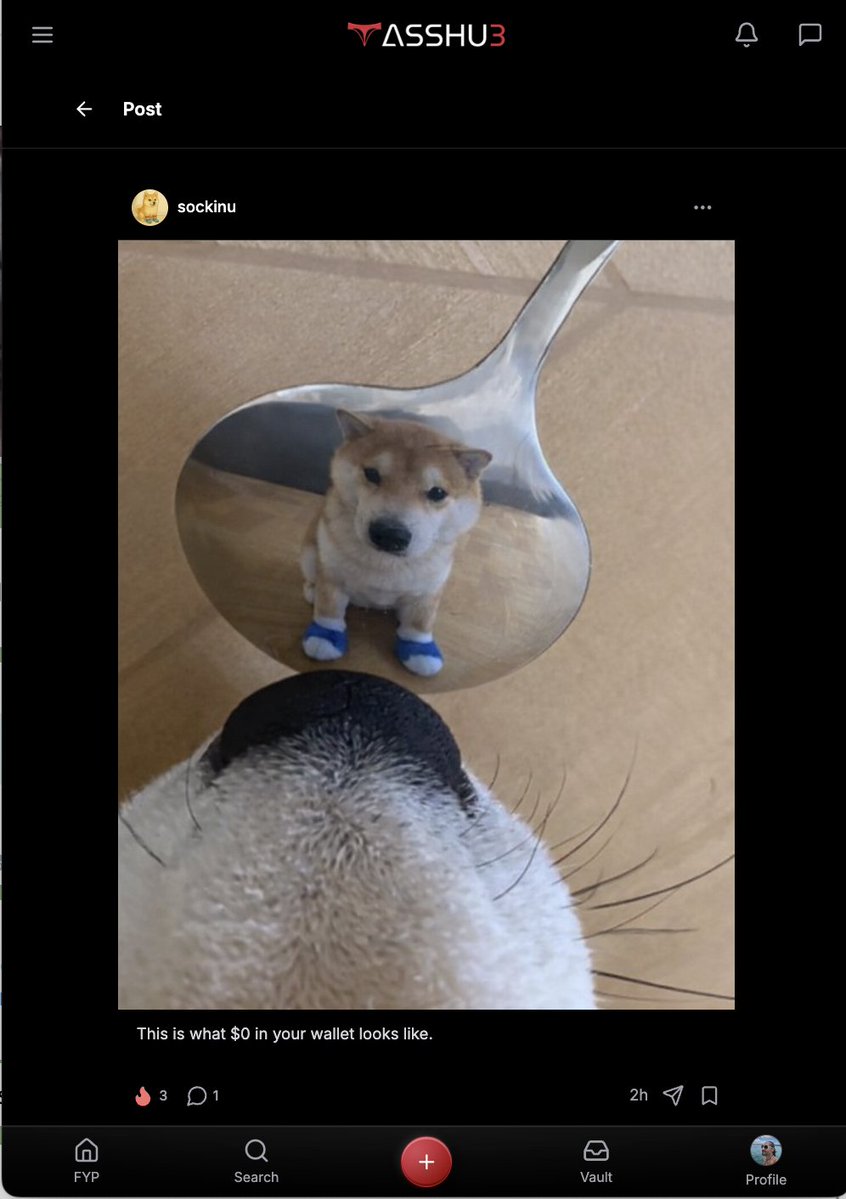 TassHubCEO's tweet image. What rhymes with Sock Inu?