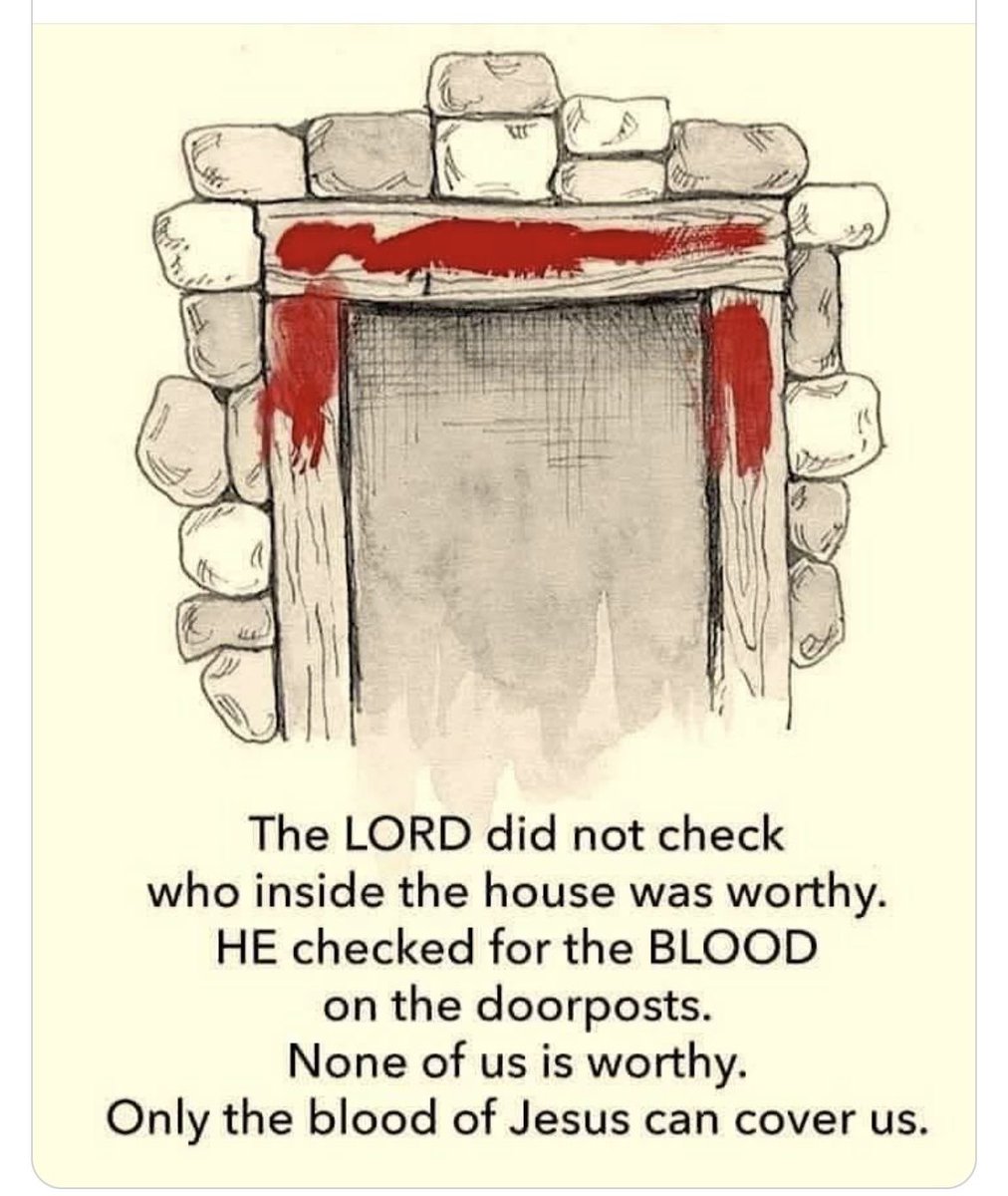 Holy__Bible1's tweet image. 