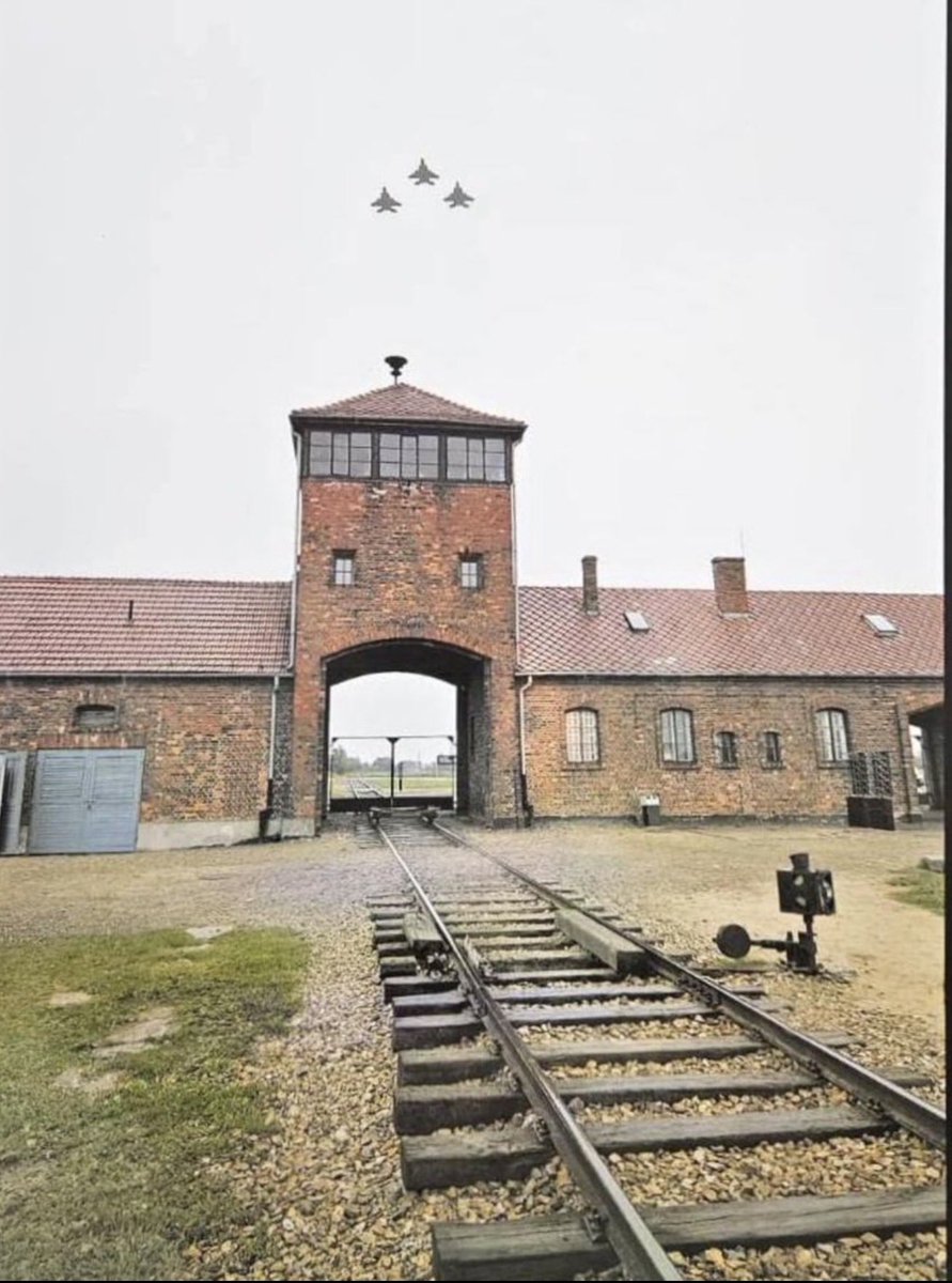 Reuven Goldstein tweet media