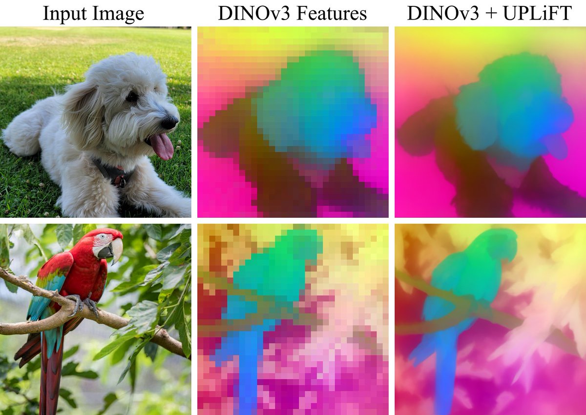 Matthew Walmer tweet media