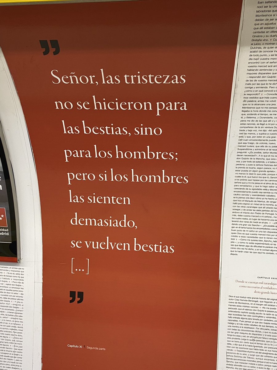 Irene Celapela tweet media