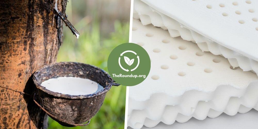 Not all latex mattresses are actually latex 🤔

The industry often uses the same terms for:
→ Rubber tree sap (lasts 20+ years)
→ Petroleum-based synthetic foam (lasts 7-10 years)

That's like calling olive oil and motor oil both "oil."

Our guide breaks down what you're