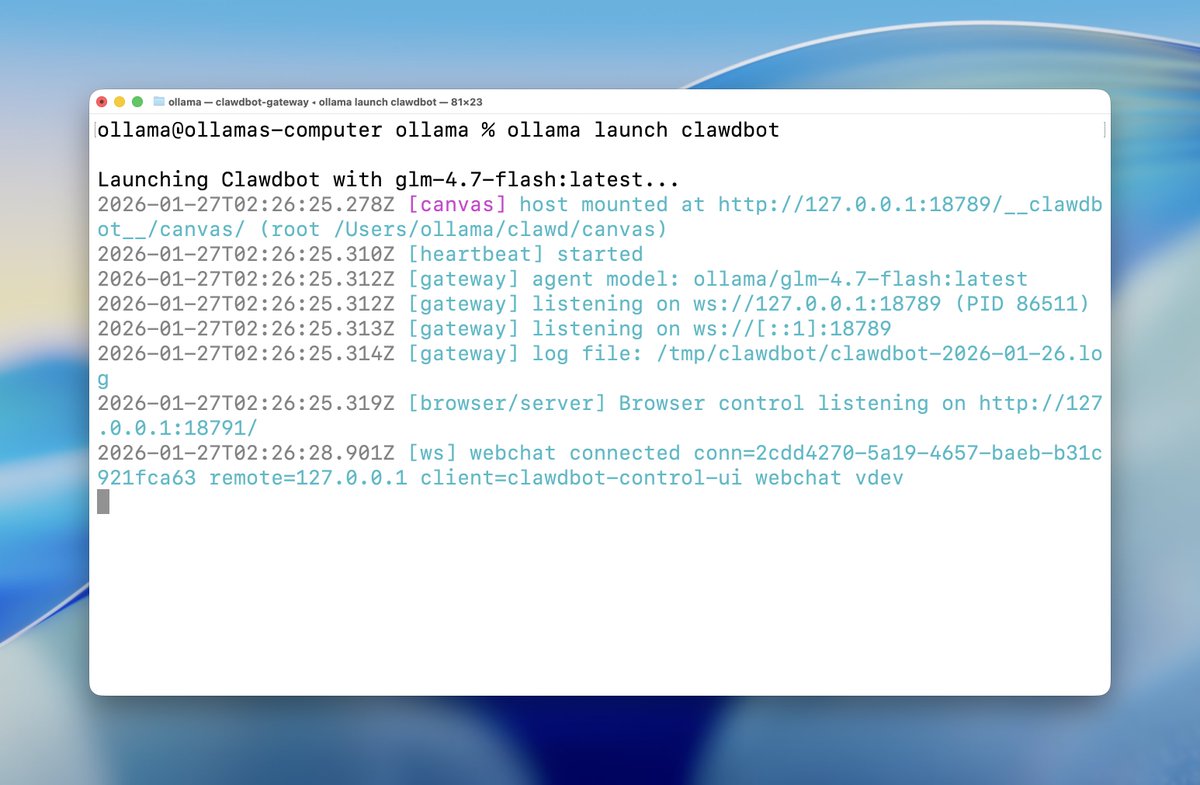 ollama launch output