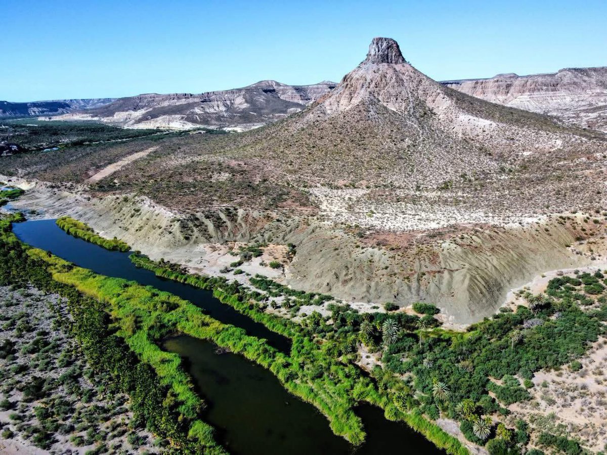 Secretaría de Turismo y Economía de BCS tweet media