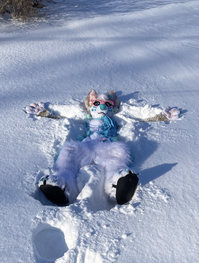 💗✨🧁CC The Corgi🧁✨💗 tweet media