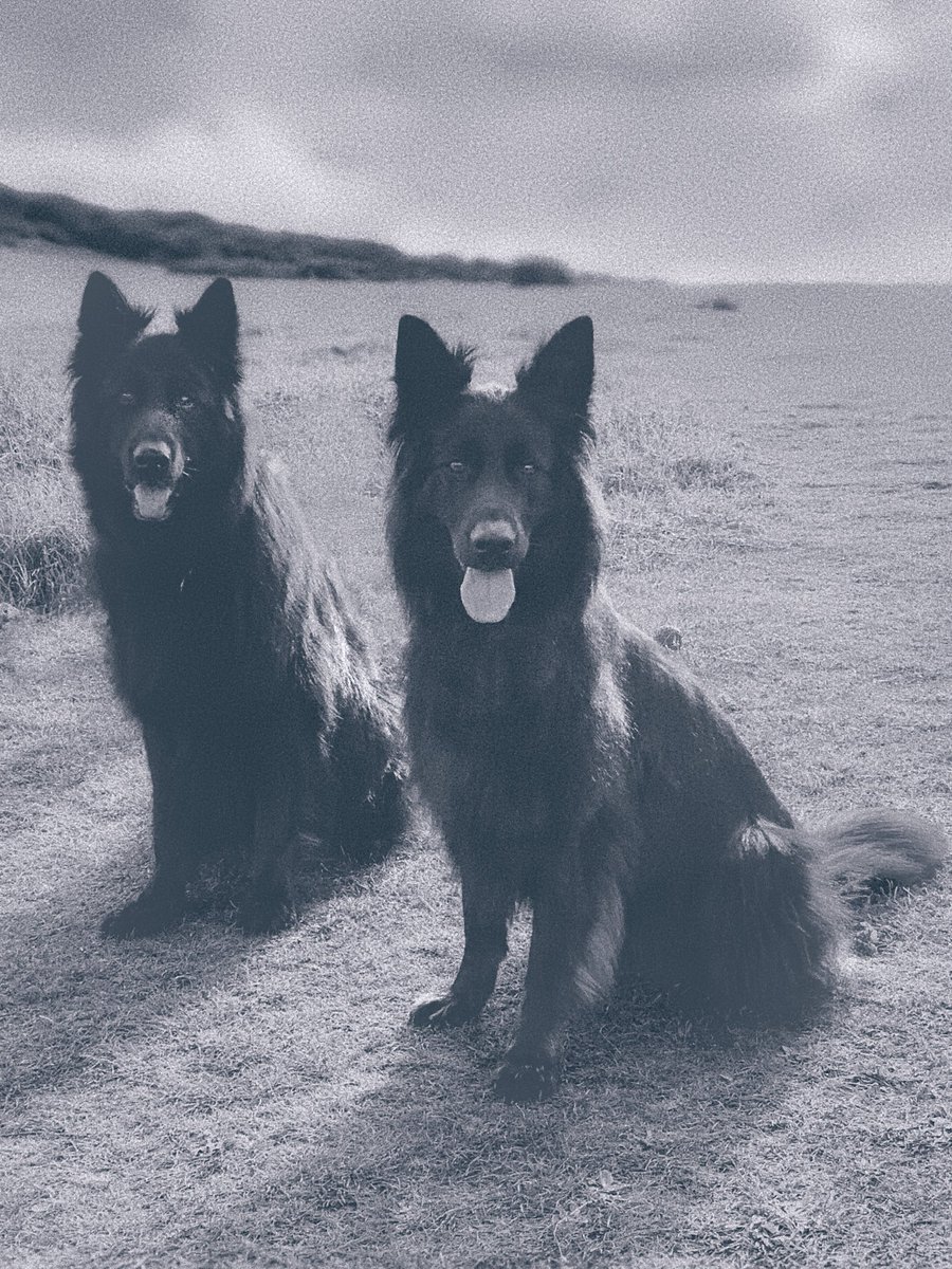 Smitho.graphics | AuDHD Fueled Designer tweet media