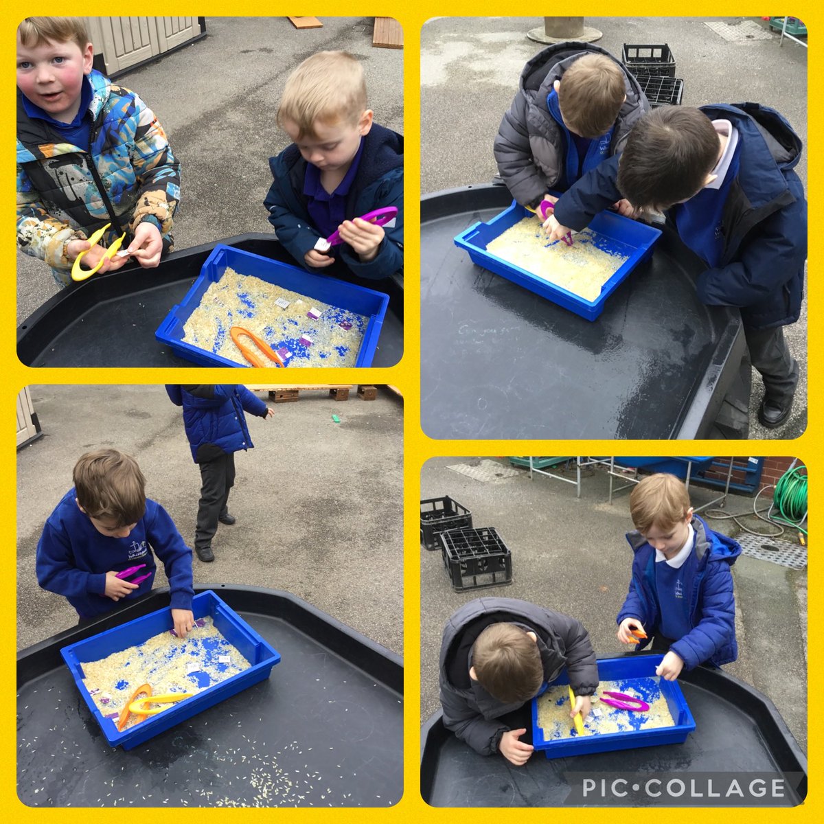 Whitegate Acorns tweet media