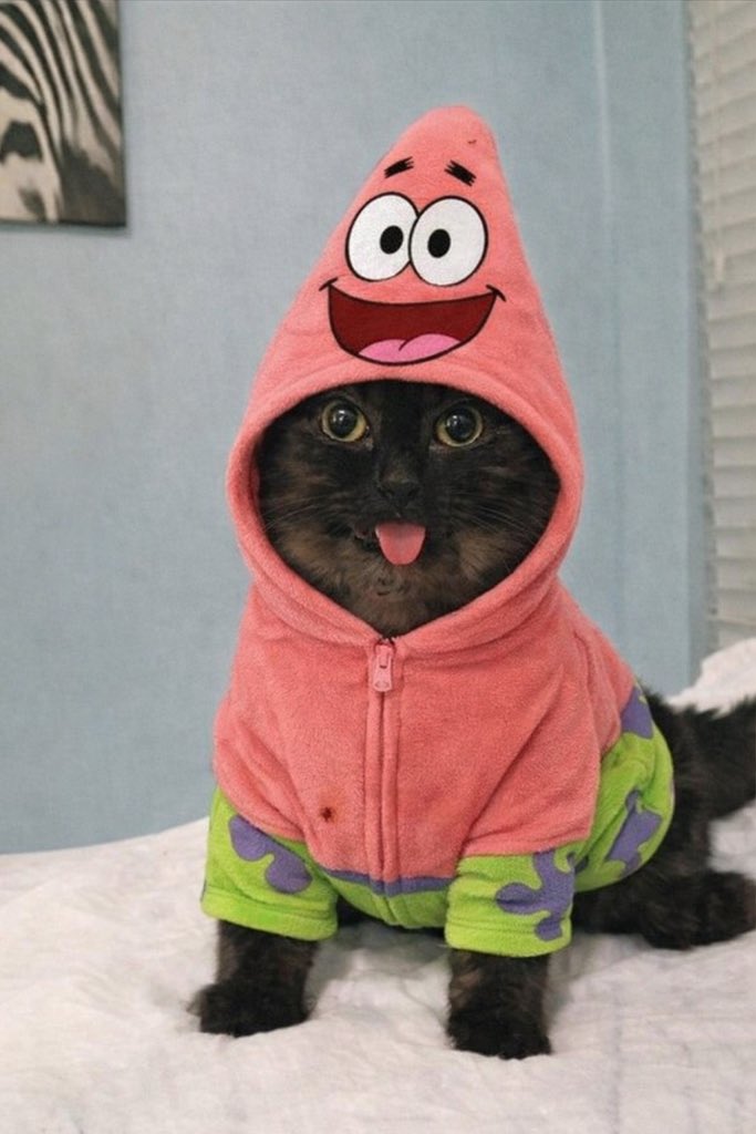 Wen <a href="/Ga__ke/">gake</a> candle 

$magoo