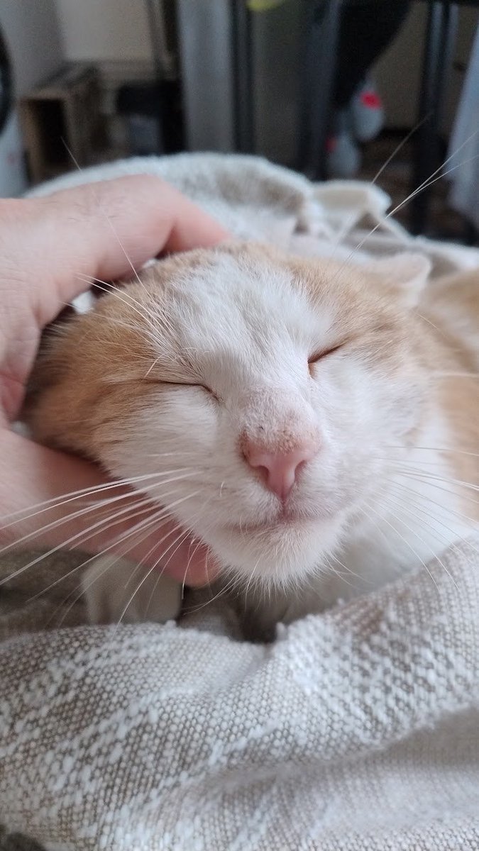 ПідйомПеревертень tweet media