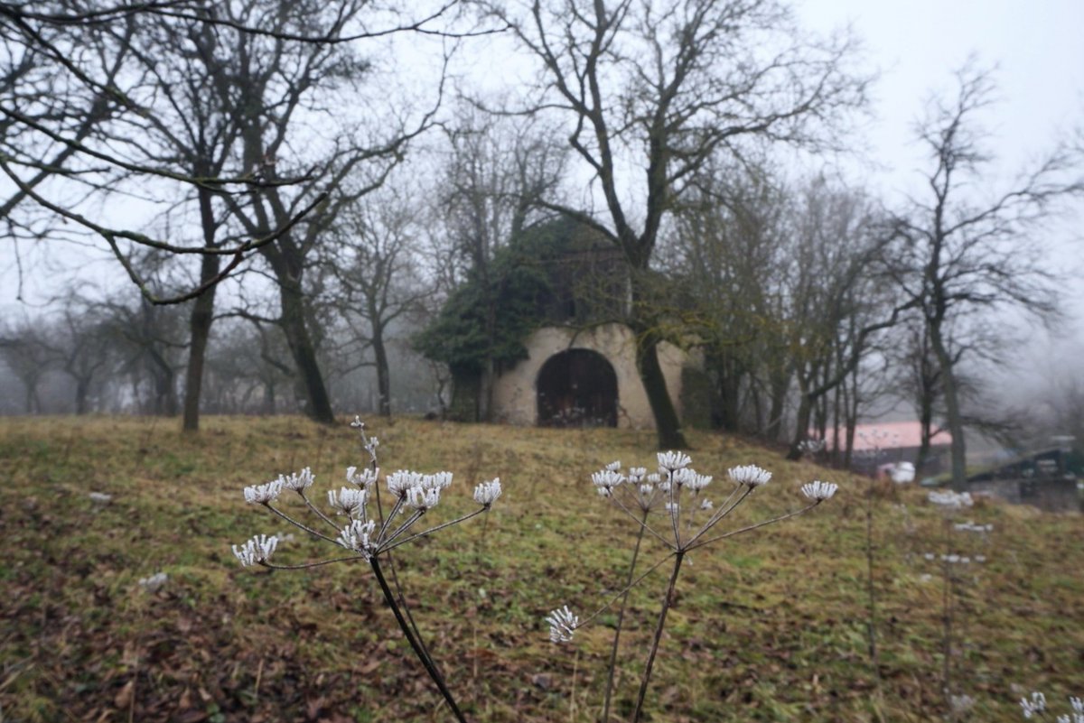 URBS3X's tweet image. 