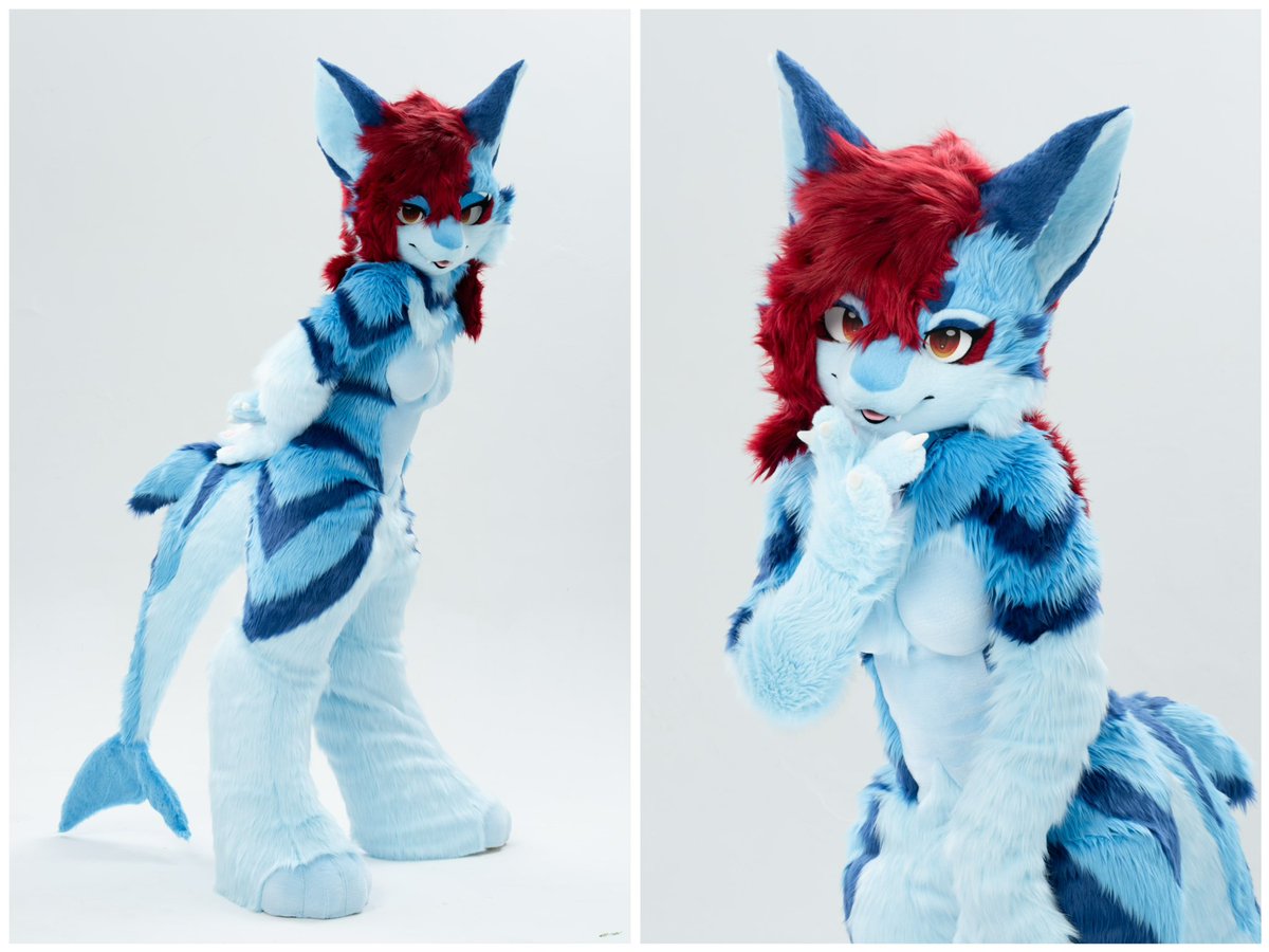 💙❤️CM complete🩵❤️

#fursuit #fishmanworks