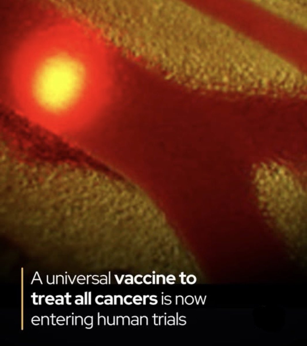 RealDrJaneRuby's tweet photo. mRNA CANCER “VACCINE” 

In what world are they trying to convince us that the same platform that permanently injured and killed millions of Americans is now somehow miraculously going to cure cancer?

And shut down a $500 billion yearly revenue stream? https://t.co/f0MDTLasWq
