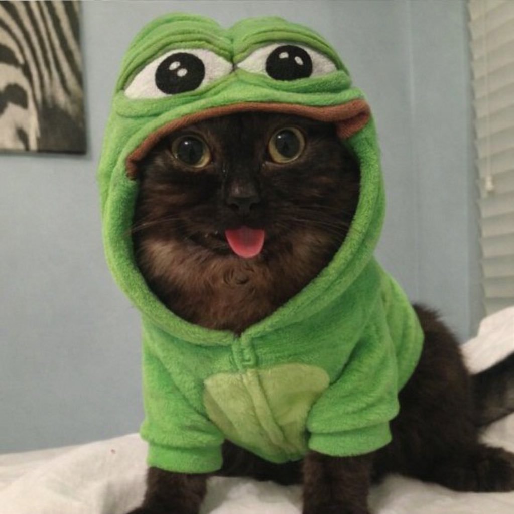 $magoo is here to save the trenches.