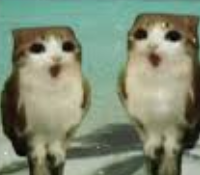 I'm going to be mainly focusing on videos from here until I have spring  break/summer break. 

I have a lot on my plate right now with school, editing and everything  else, time-wise, if the streams don't do well I feel I should prioritize  that time for videos 🤤