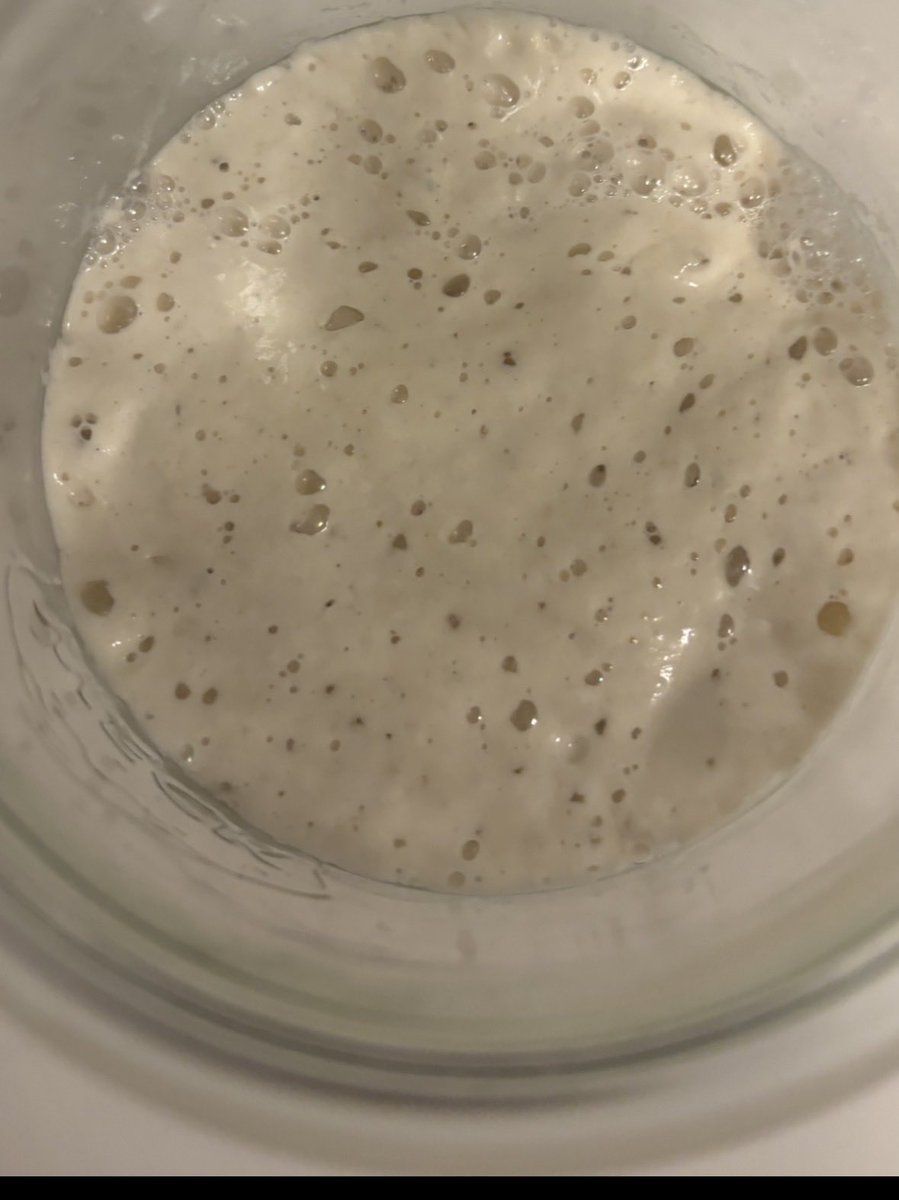 MophiaLVR's tweet image. Today's Kitchen Therapy 2026 👩🏻‍🍳
Alaskan Atlas = 🍞💪🏻
#sourdough
