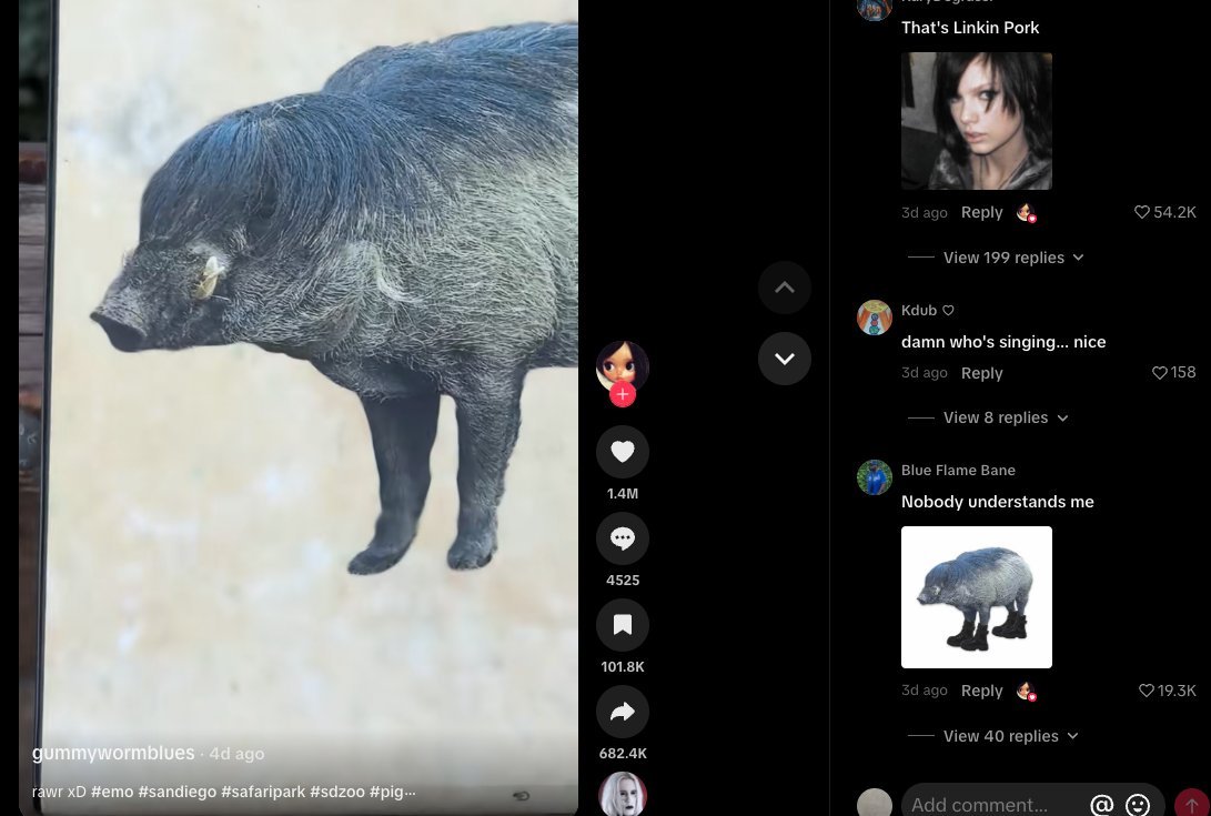 wheredem tweet media