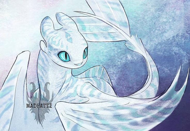 🎨🖼𝘾𝒐𝒍ors leona⛛ᵇᵒᵗ⛛💙🧡_🤍🐉Furia luminosa🤍 tweet media