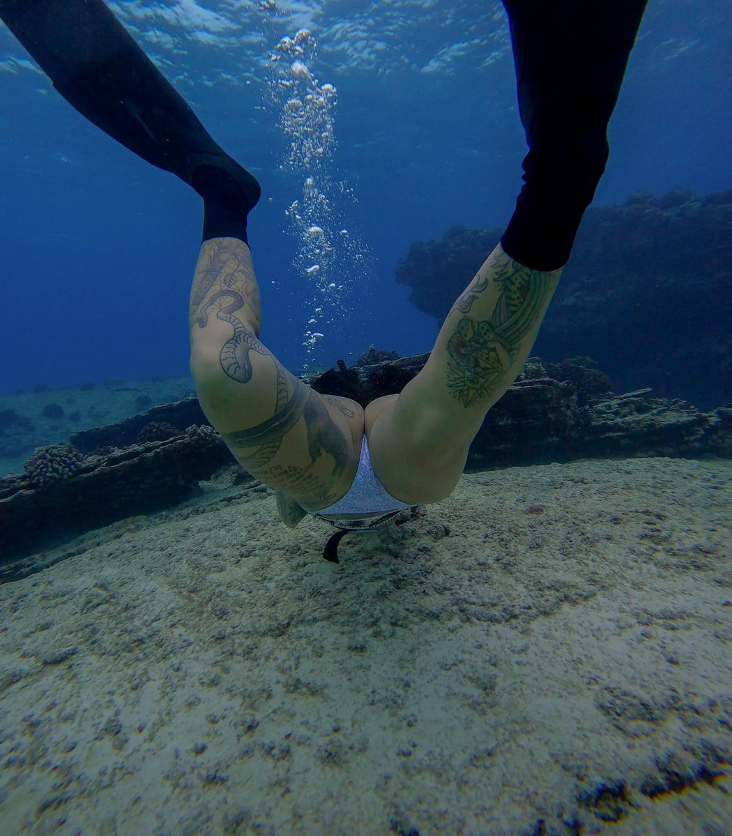 FantasíaSWsur tweet media