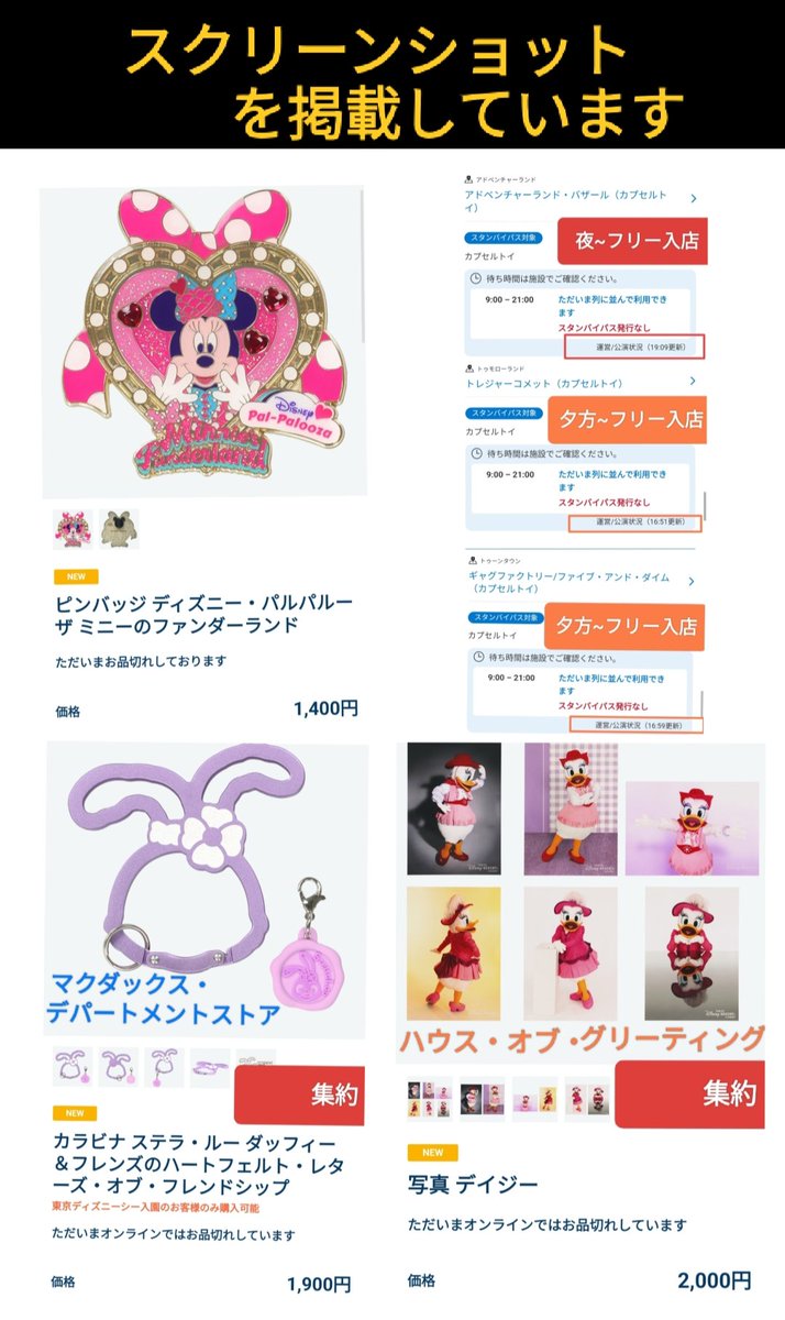 ピンバッジ　カード入れ　ストラップ　ディズニーランドパリ2023（12/17処分 ピンバッジ（ドナルドパルパルーザグッズ）| キャステル | CASTEL