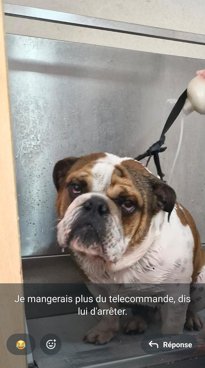 Miss Moneypenny tweet media