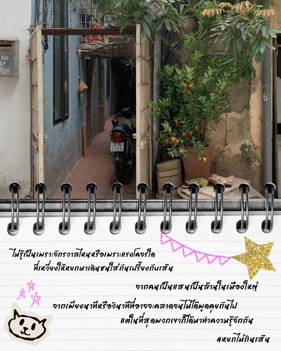 ฝากพี่คนสวยช่วยรี 🥹🙇‍♂️

ผลงานใหม่ #หยกไม่กินเส้น เรื่องของอดีตดาราเด็กวัย 26 ปีที่ใช้เวลาเพียง 3 วินาทีในการทำลายตัวเอง vs มนุษย์นักรับจ้างวัย 22 ผู้มองหาแต่งาน

หนึ่งคือผู้ที่ยืนในสปอตไลต์อย่างฝืนทน อีกหนึ่งคือผู้ที่ดิ้นรนใต้เงาแสงไฟ #แนะนำนิยายวาย
📍readawrite.com/a/ee16aa132a40…