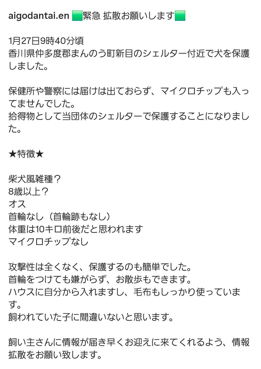 🟩緊急 拡散お願いします🟩

1月27日9時40分頃
香川県仲多度郡まんのう町新目のシェルター付近で犬を保護

保健所や警察には届出がなく、マイクロチップもなし
拾得物として当団体のシェルターで保護することになりました

早くお迎えに来てくれるようご協力お願いします

instagram.com/p/DUAWsopkksu/…