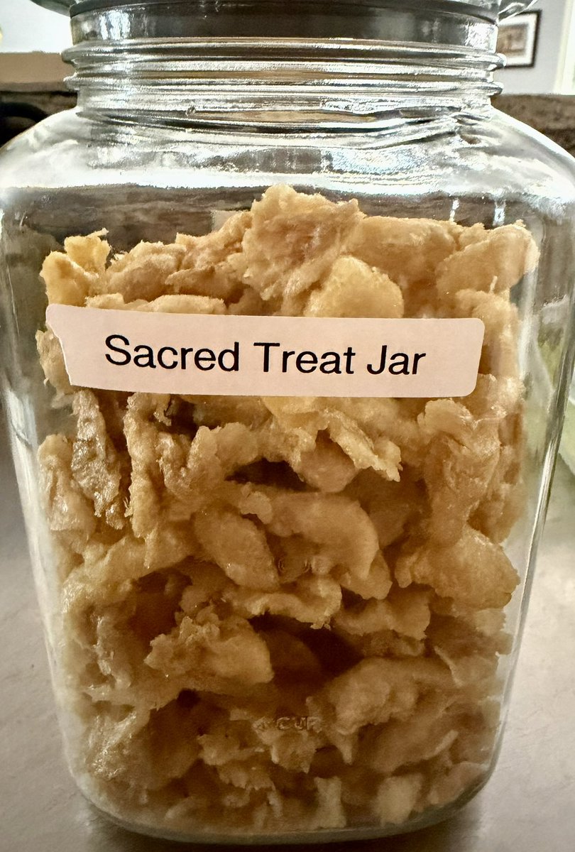 Despite the snow, ice and single digit lows (6.4F this morning), I was able to make some small batches of freeze-dried chicken breast and freeze-dried chicken skins (aka DOG CRACKlins). Both are boiled in water, chilled, then freeze dried. I have sample packs.

So, I am going to