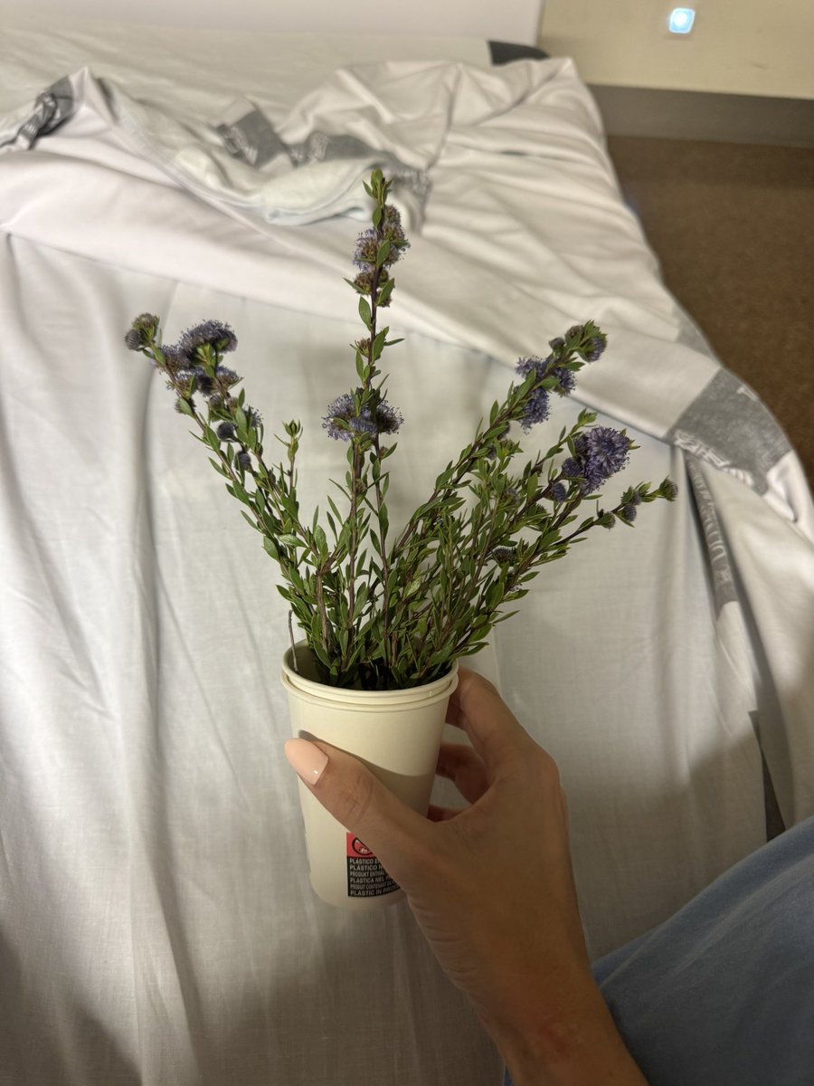 Una noche una enfermera, de esas que me conocen desde antes de que yo supiera quién era, ha llegado con un ramito de flores en la mano.
Las vio por la mañana, paseando, y pensó en mí.
Y así, sin más, decidió traerme un pedazo de día envuelto en color lavanda.

Hay veces que no