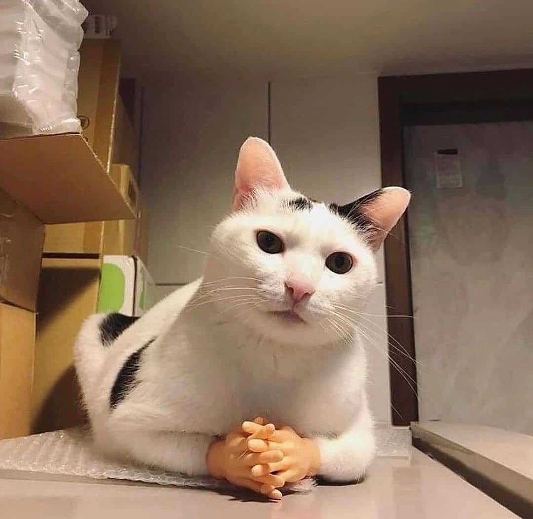 I mean… She lost in less than an hour, what option does she have but to give credit to her opponent..?