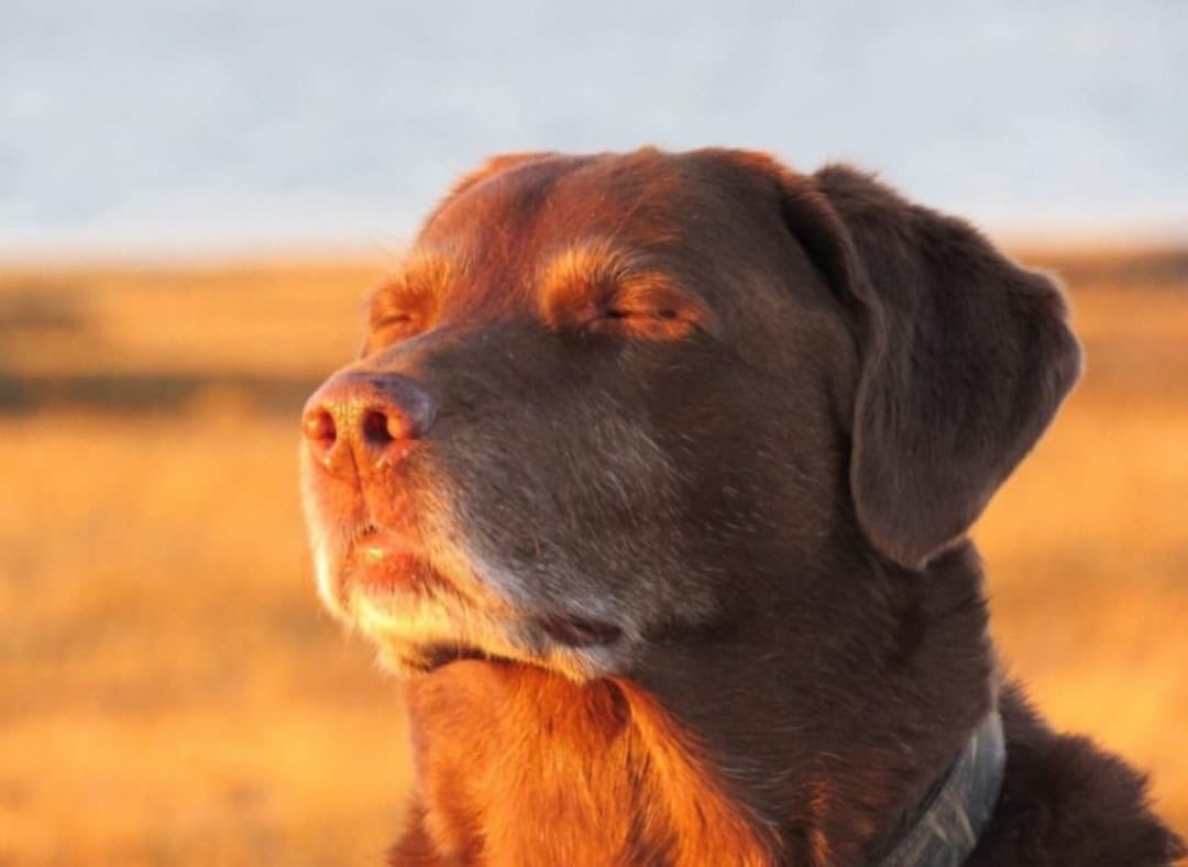 Wie es sich anfühlt wenn man sagt ,,krass, wie egal mir das ist“