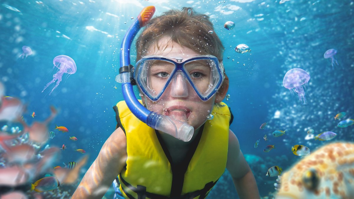 Thumbnail Ninja tweet media