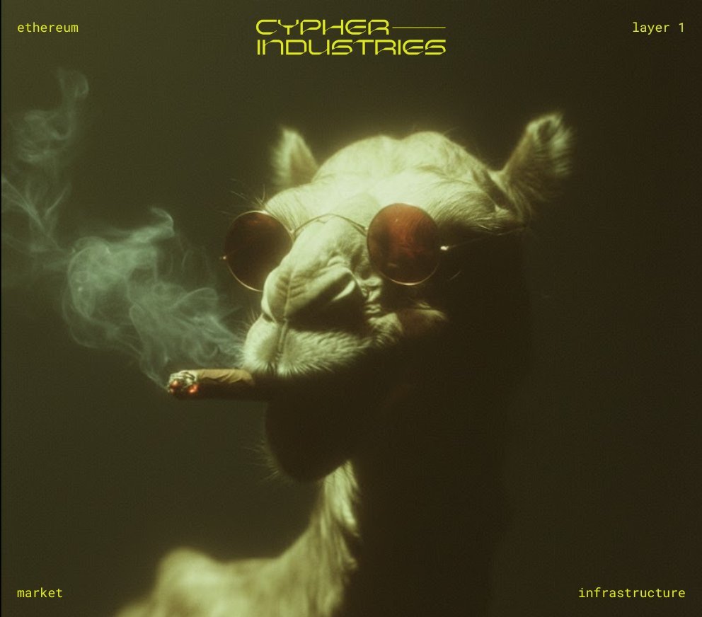 macaco (โ,๐ต,โฌ๏ธ) tweet media