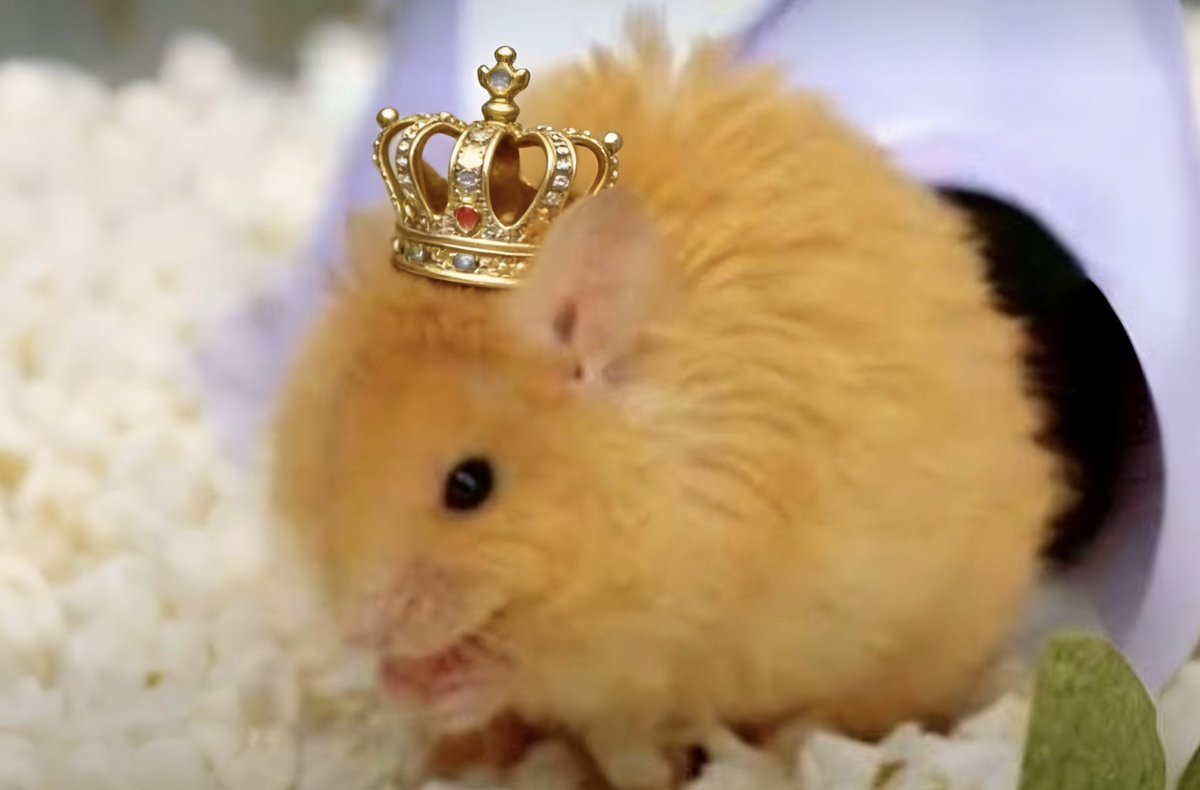 $Dale CTO

The $400M Runner👑

7MDApufGNAKDDTcM3hrUpUfZ8jcaXdaoSZy1sQdRpump