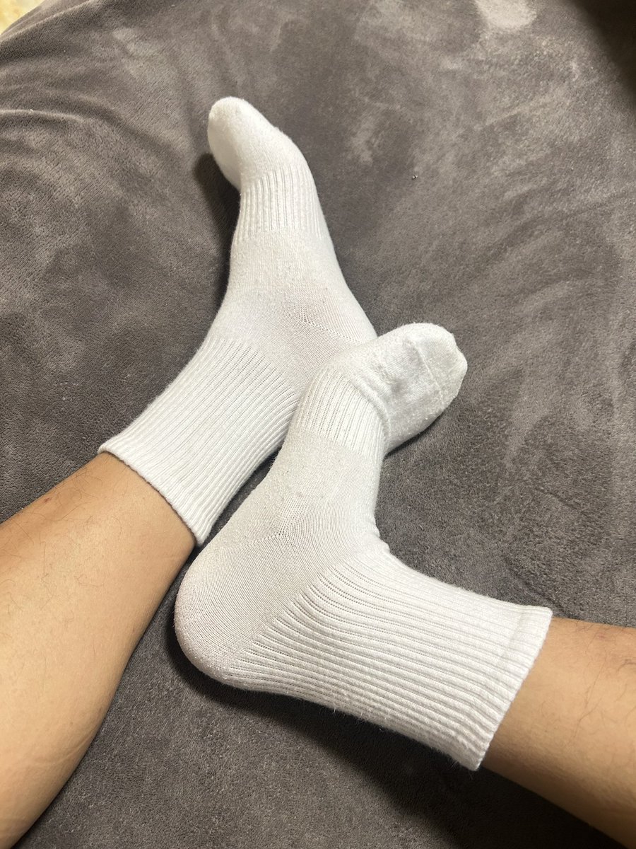 猴0喜熊1 tweet media
