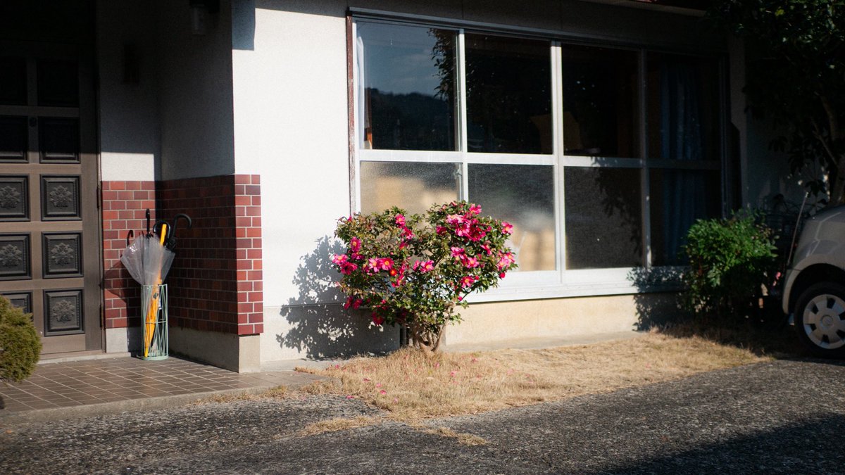 entrustthewaves's tweet image. be hopeful.