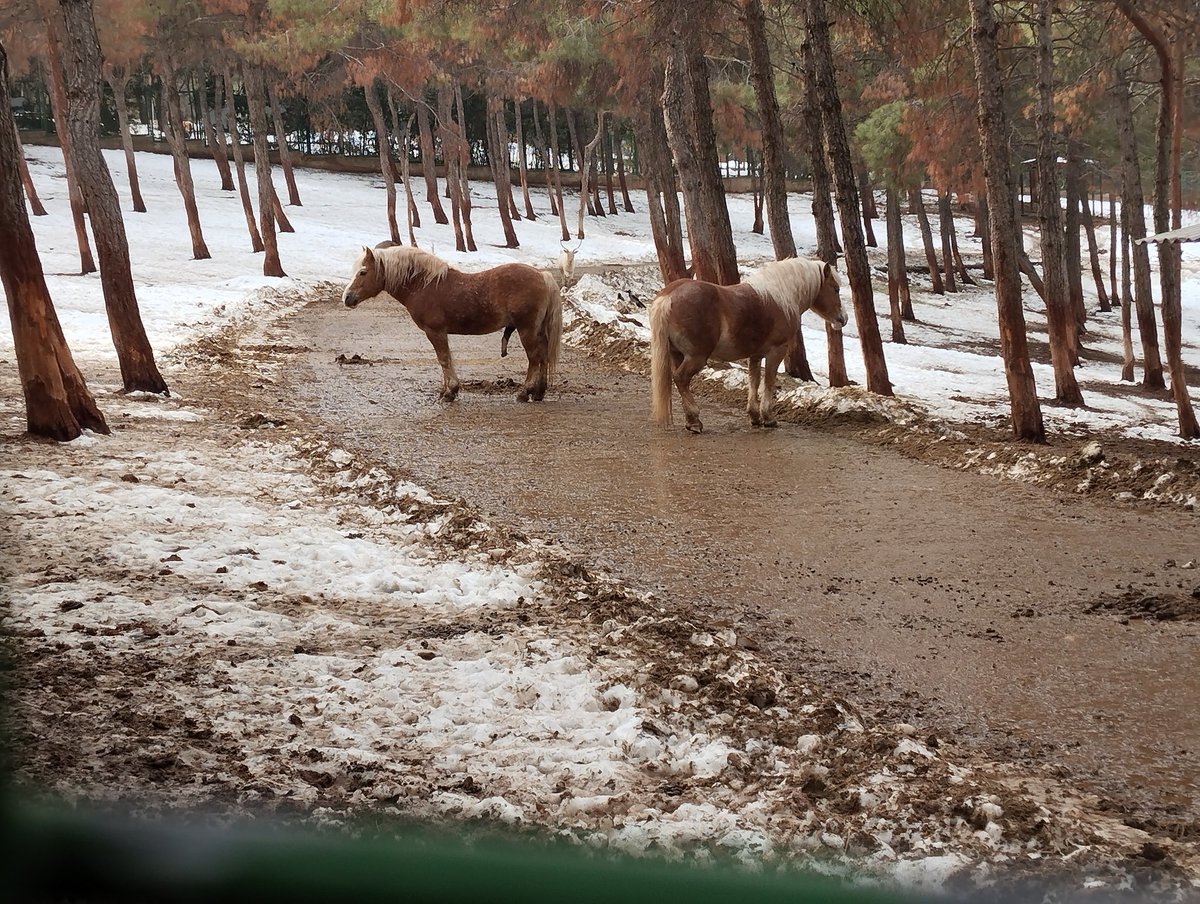 Kayra Kudurtucuoğlugil👏 (@epiktetus3) on Twitter photo 