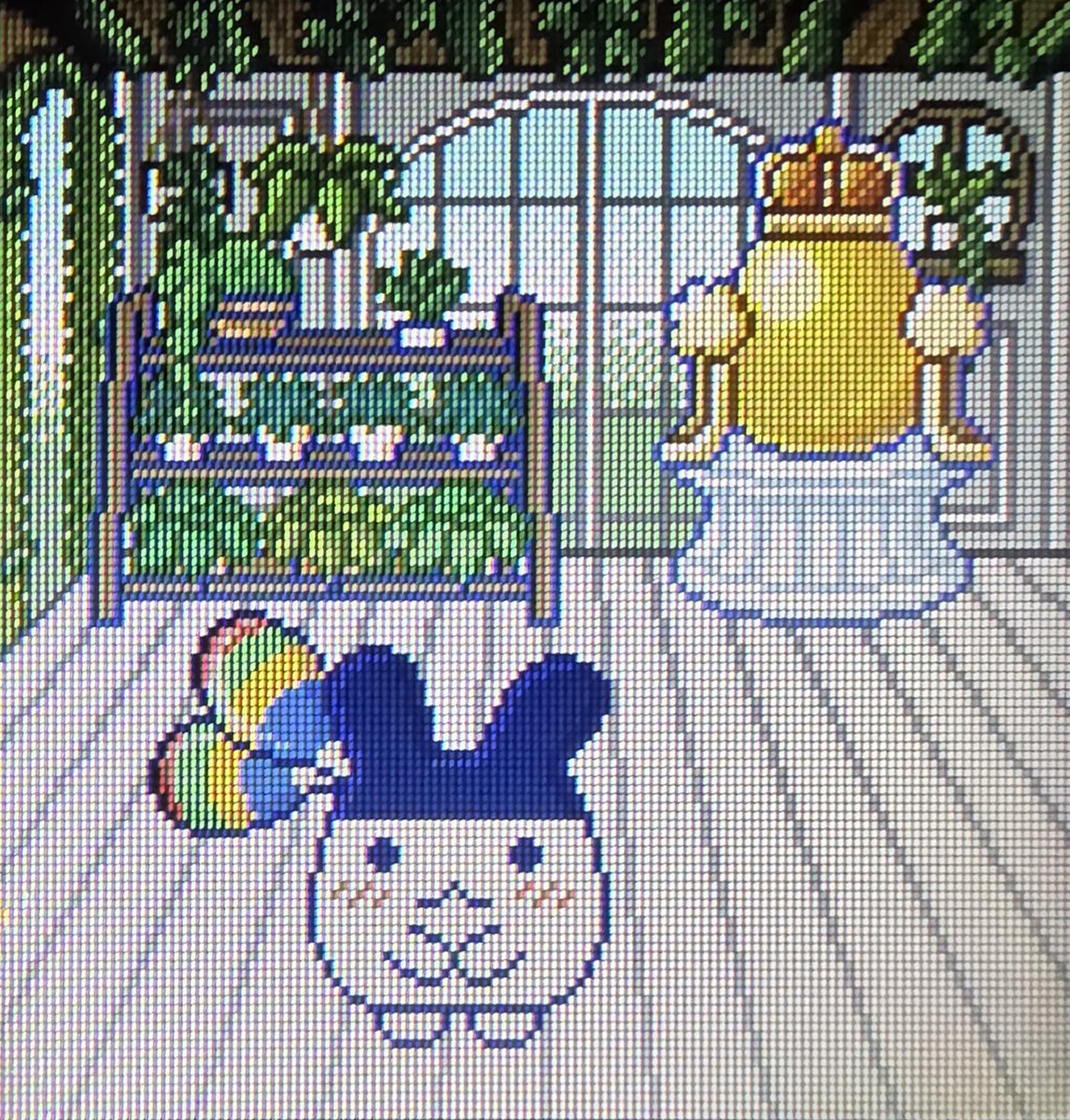 みみっちになった うーん可愛い 本作においては、アクセサリー泣かせな